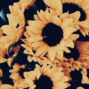 Meet your Posher, Serena